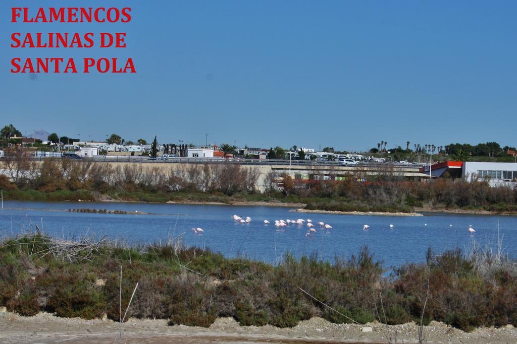 Estudio Marina De Santa Pola Bagian luar foto